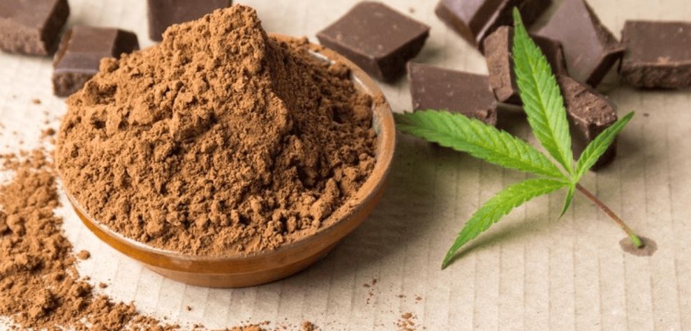 Let's break down how THC edible Canna chocolate stacks up against other forms of cannabis consumption, keeping it simple and straightforward:
