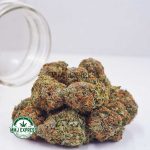 Buy Cannabis Pink Kush AAA at MMJ Express Online Shop