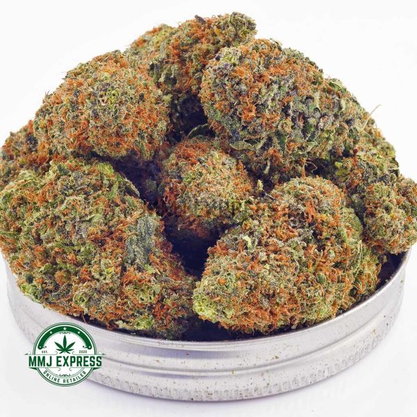 Buy Cannabis Durban Poison AAA at MMJ Express Online Shop