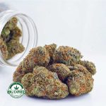 Buy Cannabis Durban Poison AAA at MMJ Express Online Shop