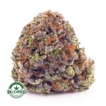 Buy Cannabis Platinum Bubba AAAA at MMJ Express Online Shop