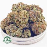 Buy Cannabis Platinum Bubba AAAA at MMJ Express Online Shop