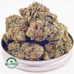 Buy Cannabis Tropicana Cookies AAA at MMJ Express Online Shop