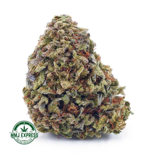 Buy Cannabis Acapulco Gold AA at MMJ Express Online Shop