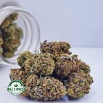 Buy Cannabis Acapulco Gold AA at MMJ Express Online Shop