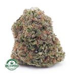 Buy Cannabis Atomic Northern Lights AAA at MMJ Express Online Shop