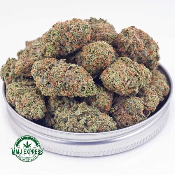 Buy Cannabis Atomic Northern Lights AAA at MMJ Express Online Shop