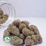 Buy Cannabis Atomic Northern Lights AAA at MMJ Express Online Shop