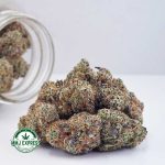 Buy Cannabis Tropicana Punch AAA at MMJ Express Online Shop