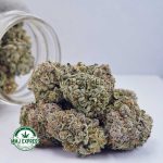 Buy Cannabis White Rhino AAAA at MMJ Express Online Shop