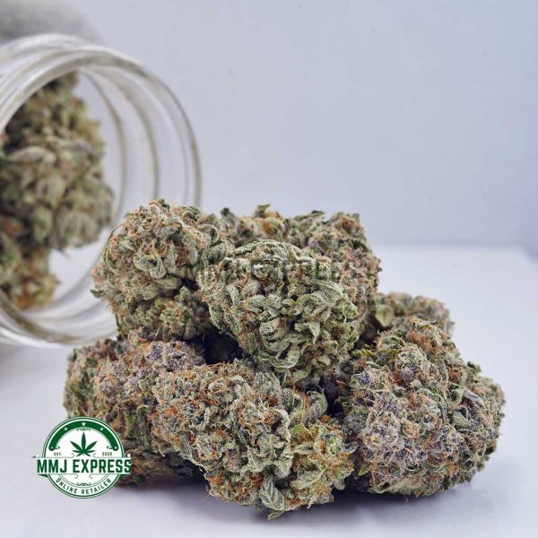 Buy Cannabis White Rhino AAAA at MMJ Express Online Shop