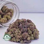 Buy Cannabis Gorilla Glue #4 AAAA (Popcorn Nugs)  at MMJ Express Online Shop