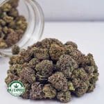 Buy Cannabis Papaya Haze AAAA (Popcorn) at MMJ Express Online Shop
