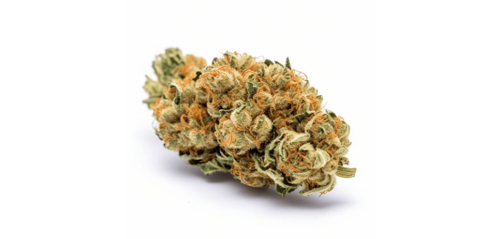 A puff of this Sativa is enough for you to get in the mood for anything - whether it's going out with friends, starting a new side hustle, or making love with your partner. 