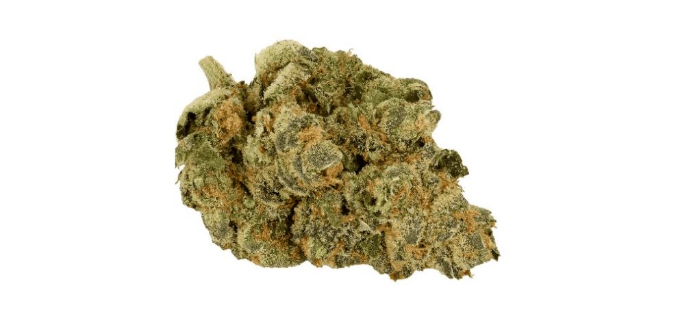 The Garlic Breath strain contains around 16 to 18 percent THC, placing it in the low to moderate category of herbs you can find at an online dispensary. 