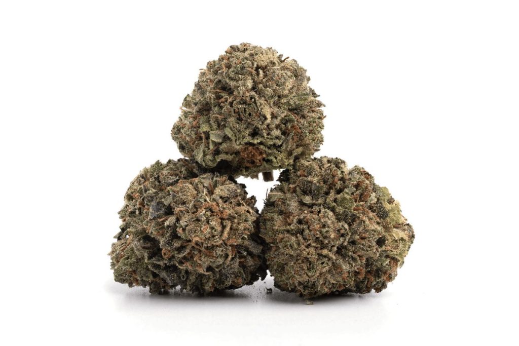 No mints needed. The Garlic Breath strain stinks in the best way possible. Read this in-depth guide to discover the THC content, effects, and more!