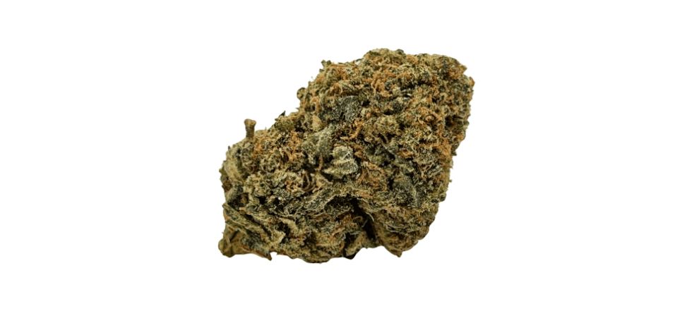 Gorilla Glue delivers a powerful euphoria and relaxation combo, leaving you tied to your couch. This is one of those heavy-handed strains that knock you out cold as soon as the first round begins. 