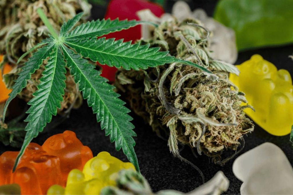 Wondering about how long do edibles last? Let’s learn the secrets of edibles their potency, the journey in your body & even how to order them online