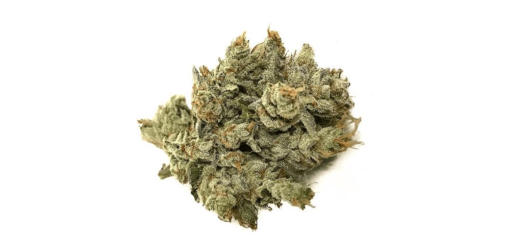 OG Kush, like many other hybrids, offers the ideal high. It delivers the best of both worlds and cuts out unwanted side effects.