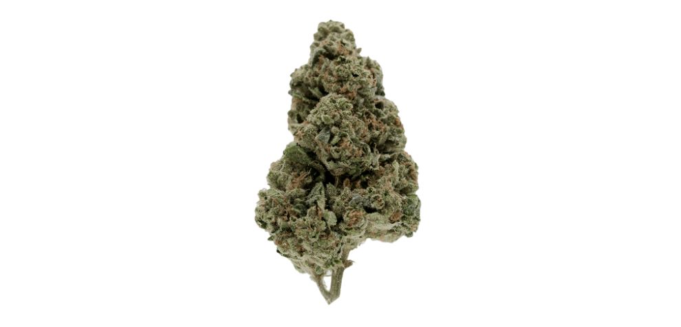 Being an almost-balanced hybrid, OG Kush will deliver a one-of-a-kind high that will have you going back for more.