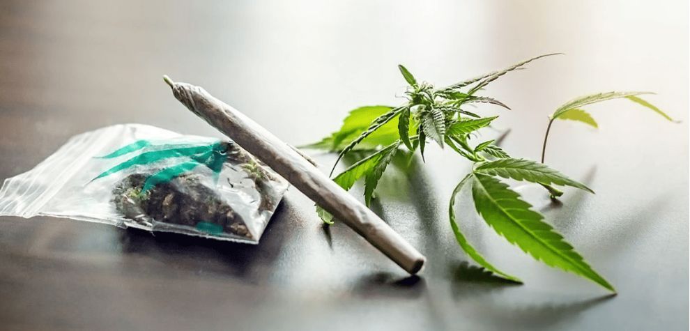 Buying weed from an online weed dispensary in Canada is a very safe and convenient way to purchase cannabis.