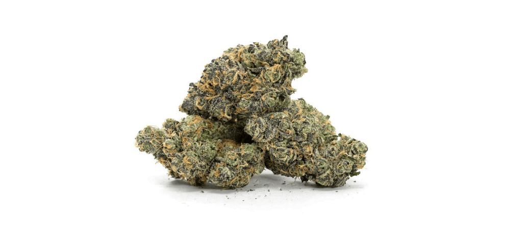 With so many BC Bud online stores selling weed in Canada, you need to ensure that you’re buying weed, including the Runtz strain, from a reputable and highly reliable online dispensary. 