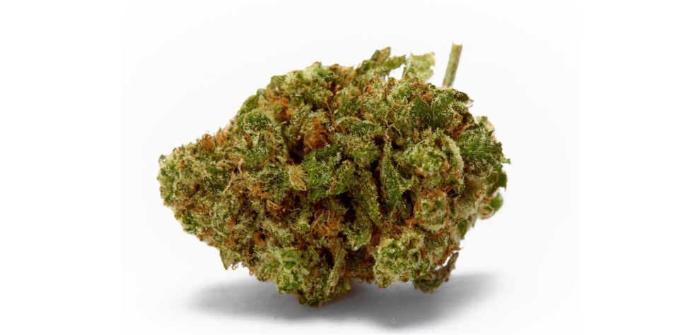 Sour D is a 90% to 10% sativa to indica cannabis hybrid. As a sativa, Sour Diesel produces mainly energizing effects.