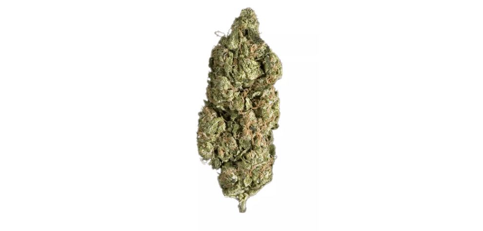 Sour D is a very potent nug. It contains an average of 26% THC, which means it can go above or slightly below based on where you buy weed online.