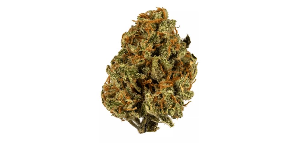 Terpinolene, the fruity terpene (which can also be found in nutmeg, lilacs, and apples), gives Super Lemon Haze a dreamy floral and herbal aroma. 