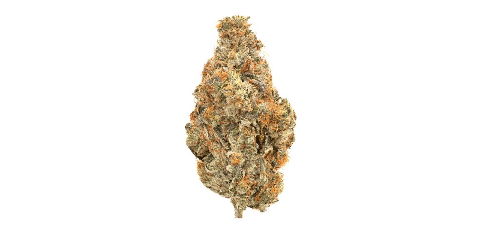 Bubba Kush is a moderate to high-potency strain, typically containing around 25 percent THC. 