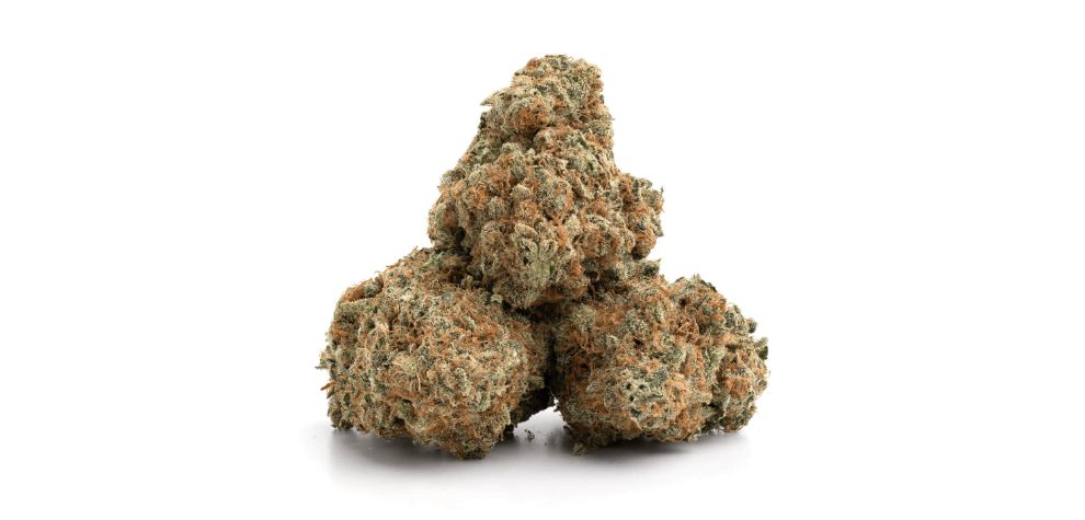 OG Kush is a strain every cannabis lover should experience at least once in their lifetime. We definitely recommend buying this iconic, famed strain. 