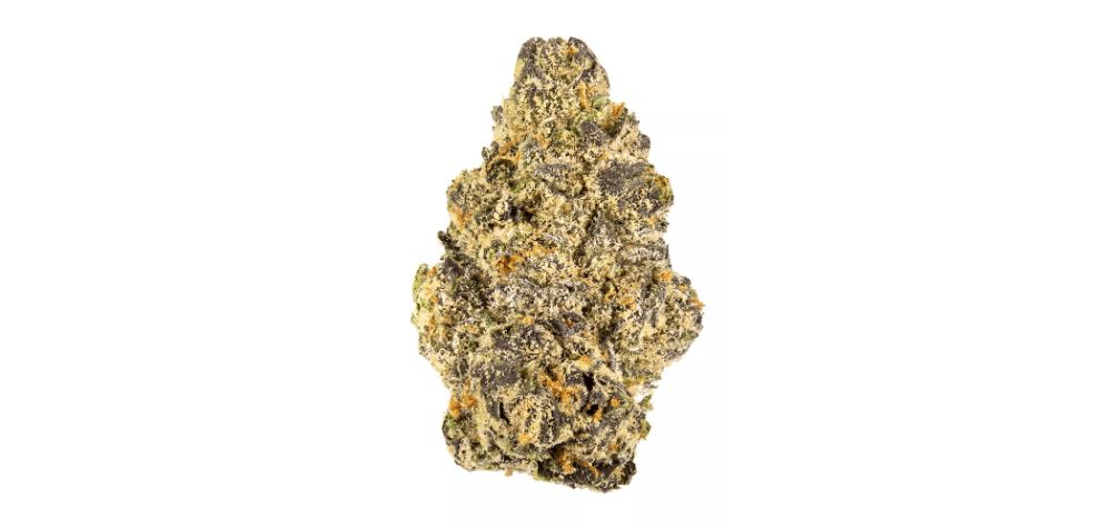 Before you can buy the Runtz strain in Canada, you must first understand its genetics, history, and, most importantly, its effects.