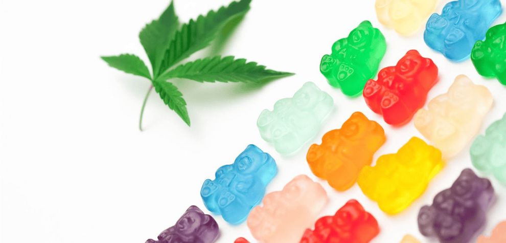 Edibles made using super-concentrated THC extracts will undoubtedly hit harder than those made from a low-THC strain. 
