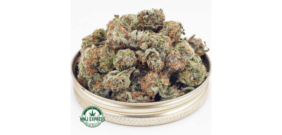 If you want to buy Indica weed online, the White Truffle AAA (Popcorn Nugs) is a fantastic way to relax. 