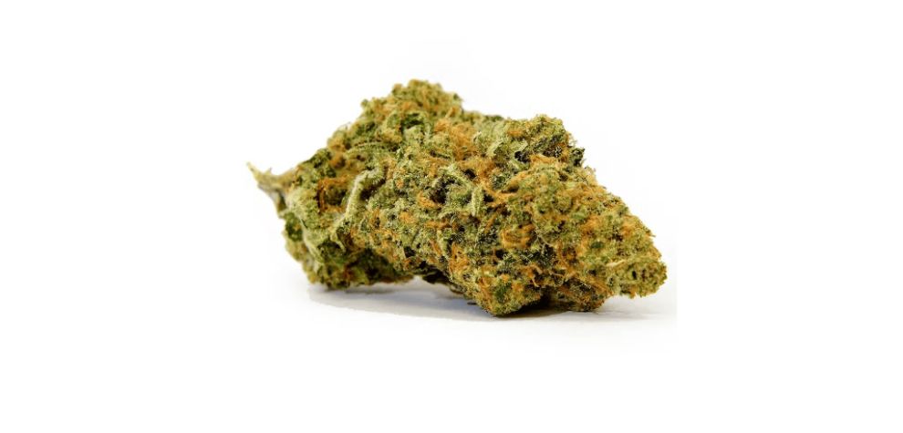One day, Haze, Skunk, and Northern Lights #5 came together and made the Mango Haze strain, one of the best buds you can find at an online dispensary.