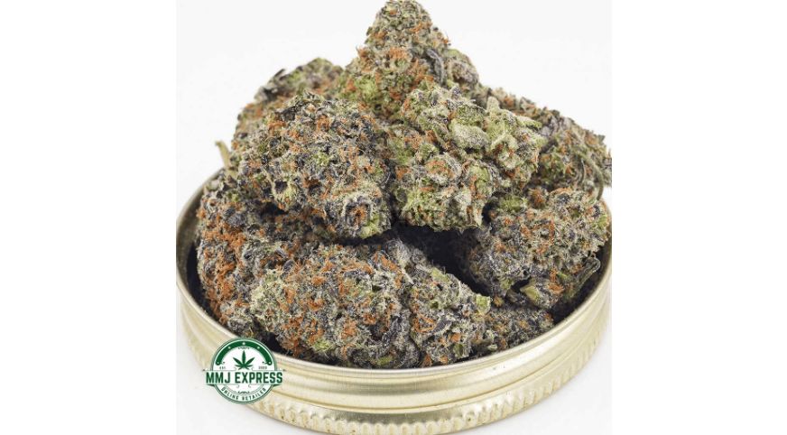 It's the Apple Fritter AAAA+, a top-shelf weed in Canada with 25 percent THC and whole lot of personality! 