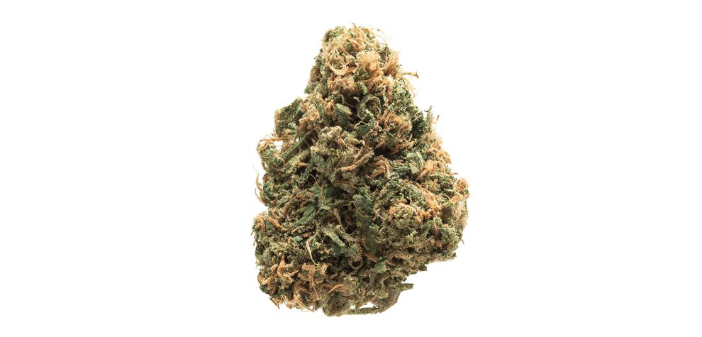Do you order weed online? If so, you know that it’s by far the simplest, safest, and most convenient way to buy weed in Canada. 