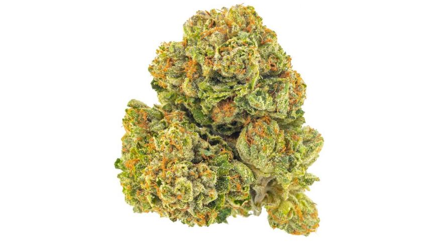 Feel free to buy potent and flavourful indica strains similar to the Pine Tar strain from the most reputable online weed dispensary today. 