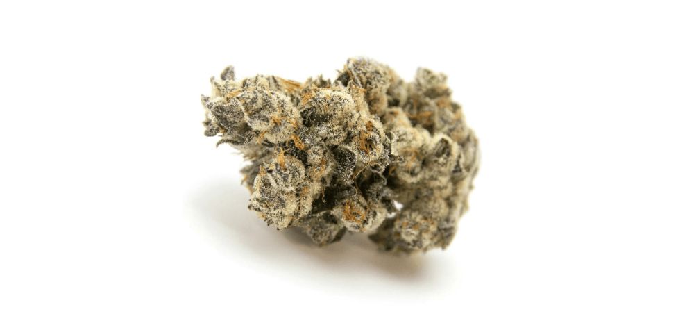 Buying the White Lightning strain from an online dispensary is simple and quick. 