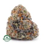 Buy Concentrates Cannabis Cookie Monster AAAA at MMJ Express Online Shop