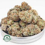 Buy Cannabis Supreme Dosi Cake AAAA+, Craft at MMJ Express Online Shop