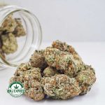 Buy Cannabis Supreme Dosi Cake AAAA+, Craft at MMJ Express Online Shop