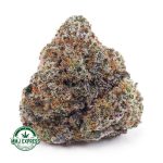 Buy Cannabis Citrus Skunk AAA at MMJ Express Online Shop