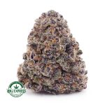 Buy Cannabis Purple Urkle AAA at MMJ Express Online Shop