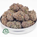 Buy Cannabis Purple Urkle AAA at MMJ Express Online Shop