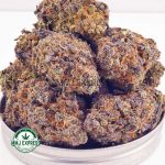 Buy Cannabis GMO Cookies AAAA MMJ Express Online Shop