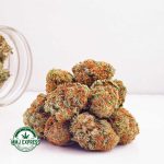 Buy Cannabis Comatose OG AA at MMJ Express Online Shop