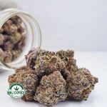 Buy Cannabis Purple Kush AAAA at MMJ Express Online Shop