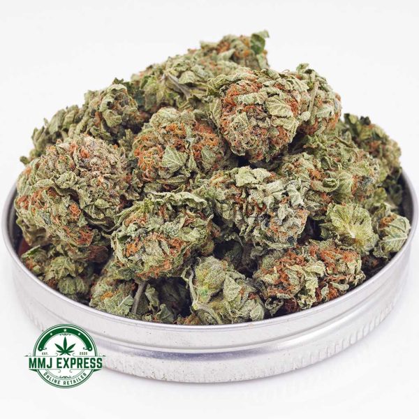 Buy Cannabis King Tut AA at MMJ Express Online Shop