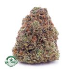 Buy Cannabis Jack Herer AAA at MMJ Express Online Shop